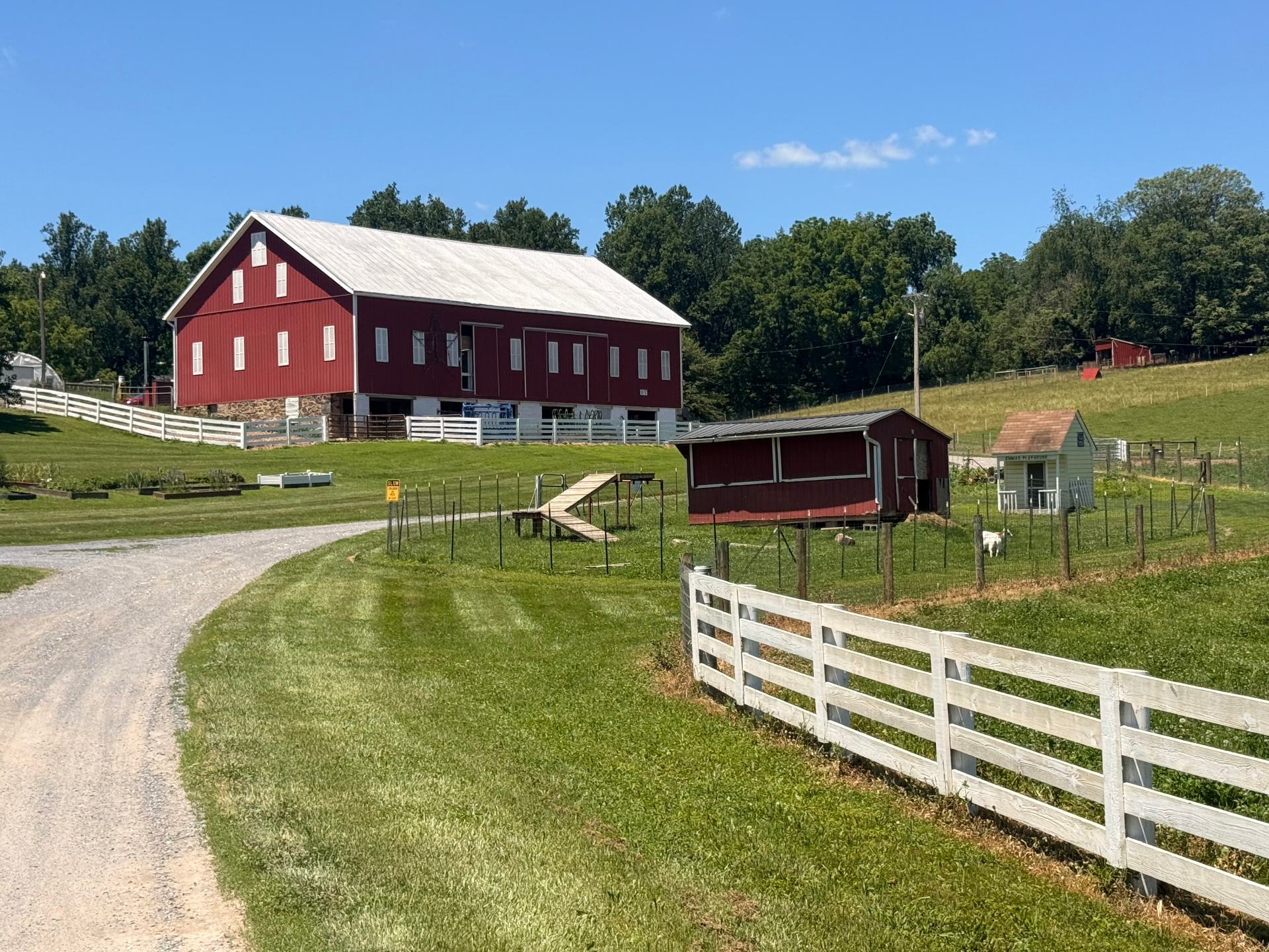 Evermore Farm pasture at golden hour