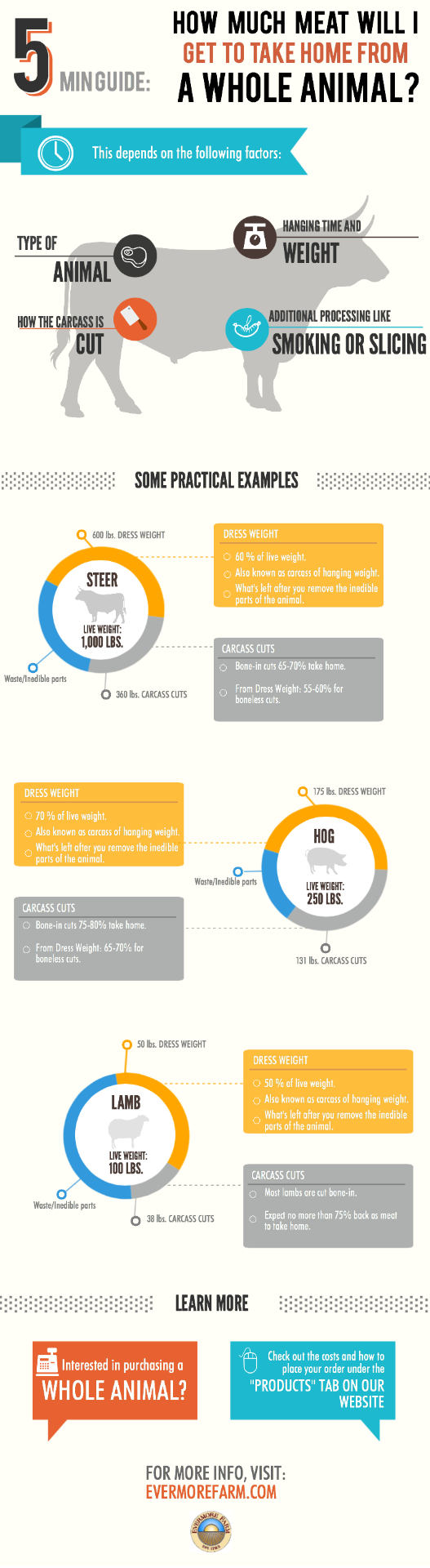 Infographic: how much meat will I get from a whole animal? Steer, hog, and lamb dress weight and carcass cut yields.